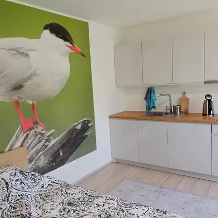 Apartamenty I Domki Osinscy Braniewo Exterior foto