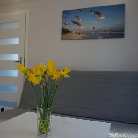 Apartamenty I Domki Osinscy Braniewo Exterior foto