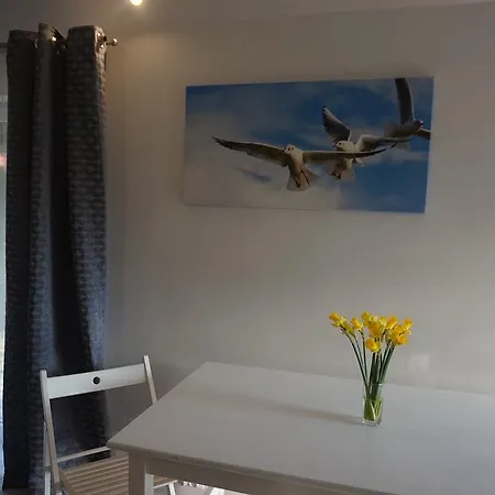 Apartamenty I Domki Osinscy Braniewo Exterior foto