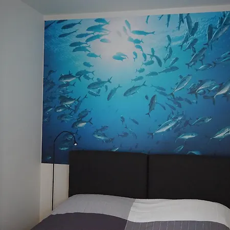 Apartamenty I Domki Osinscy Braniewo Exterior foto