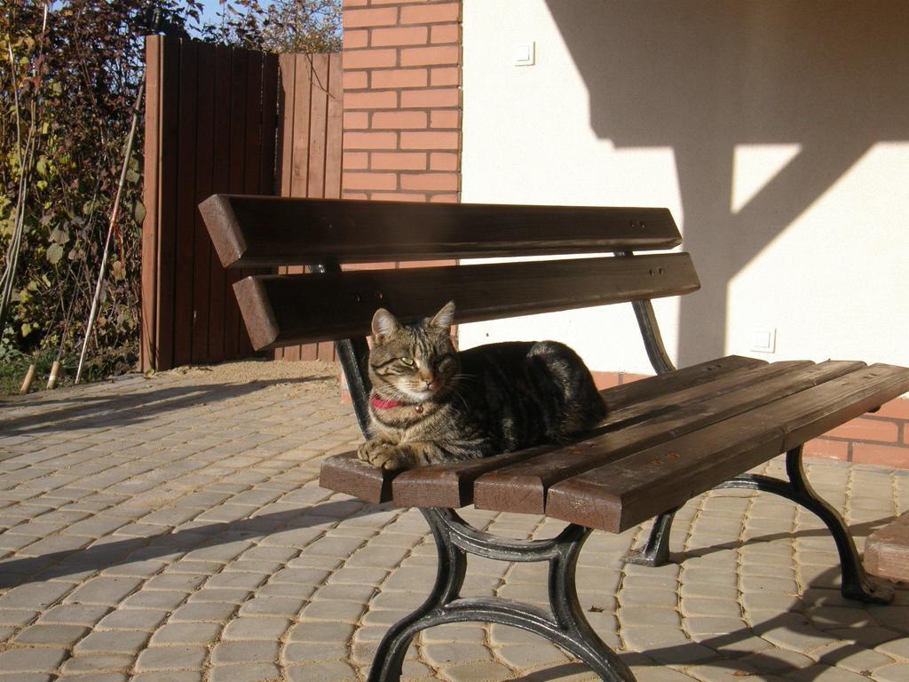 I Osinscy Apartment Braniewo