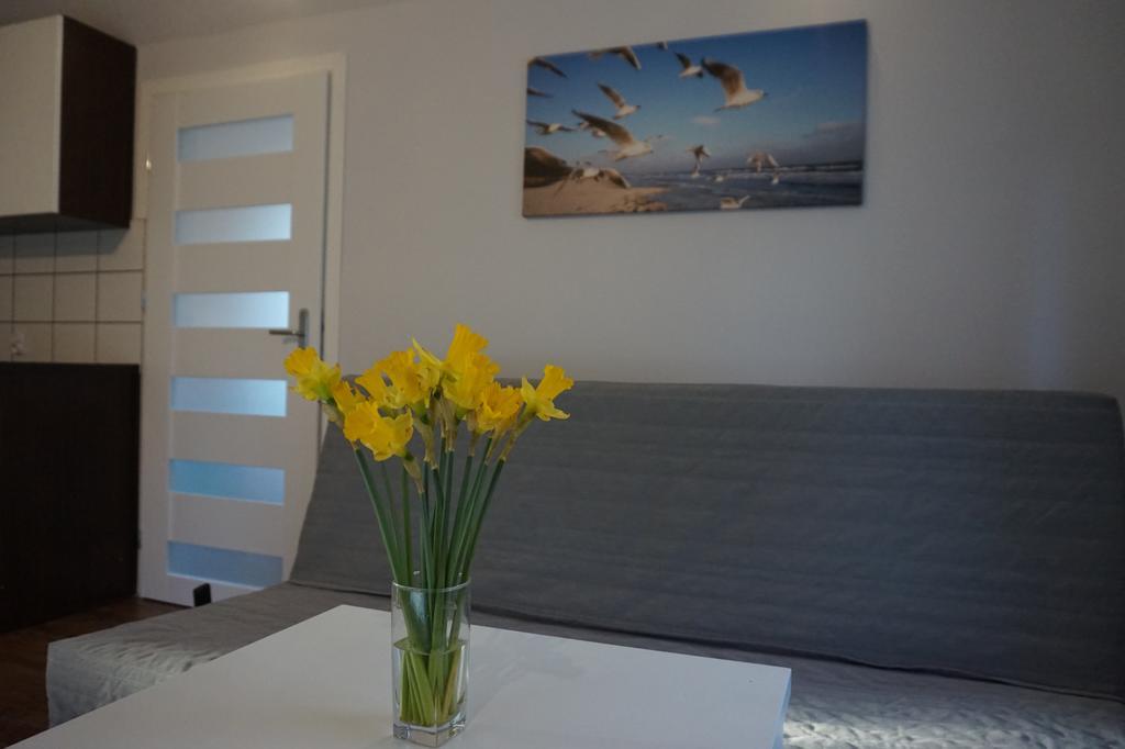 Apartment I Osinscy *
